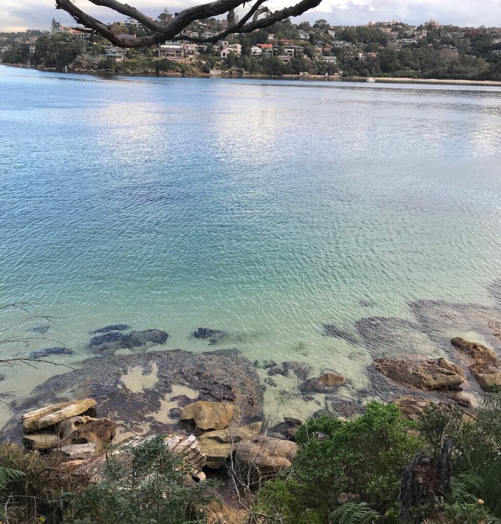 best day hikes and walks sydney spit to manly northern beaches