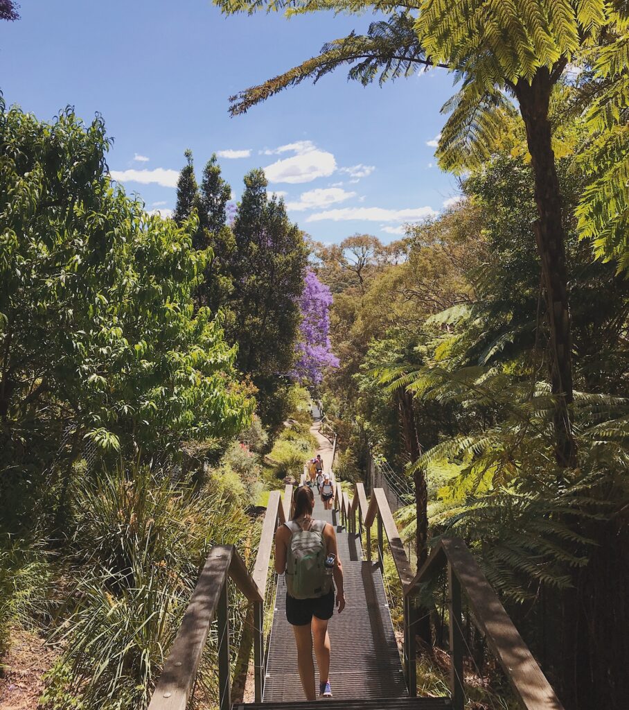 best day hikes and walks sydney Taronga Zoo to Balmoral Beach